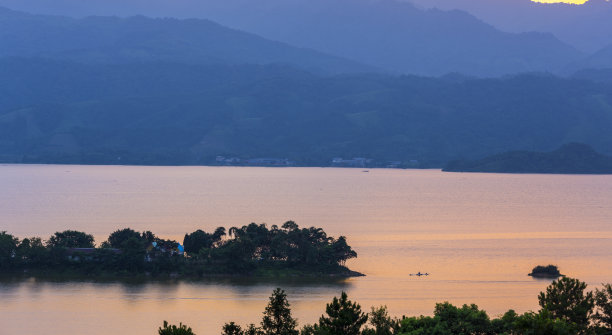 夕阳下河边的芦苇