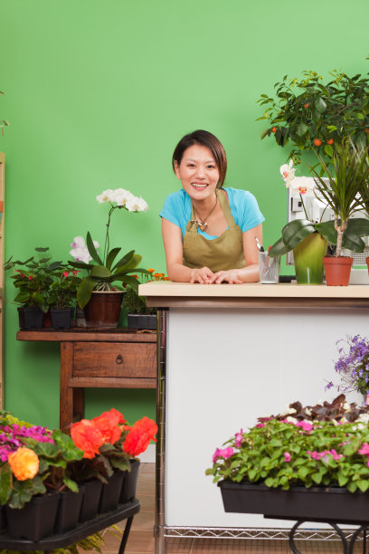 花店里的绿植