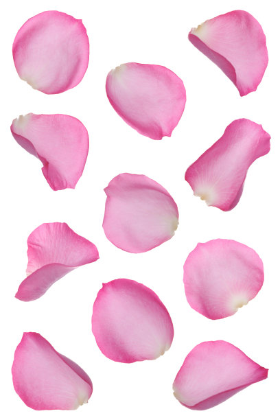 粉红色的花瓣 