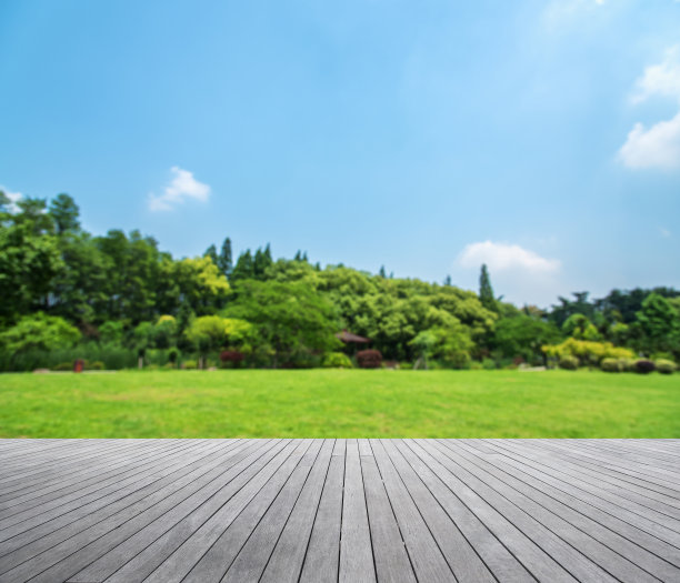 田园风光,户外,夏天