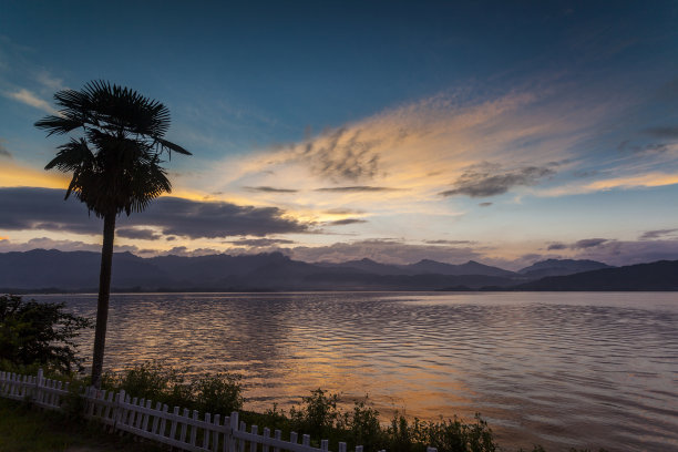 夕阳下河边的芦苇