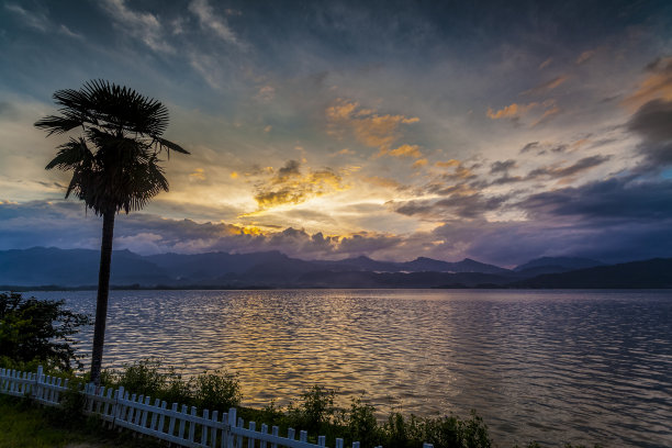 夕阳下河边的芦苇