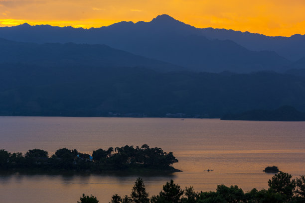 夕阳下河边的芦苇