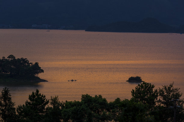 夕阳下河边的芦苇