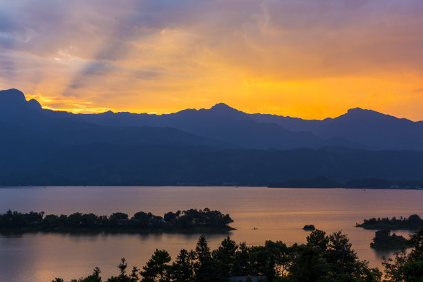 夕阳下河边的芦苇