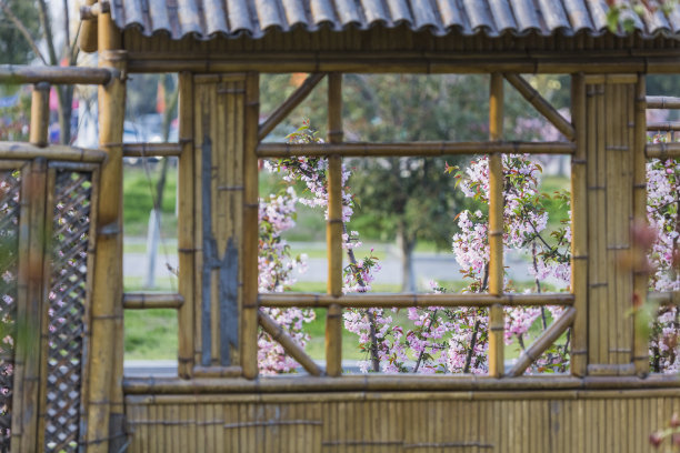 竹子梅花