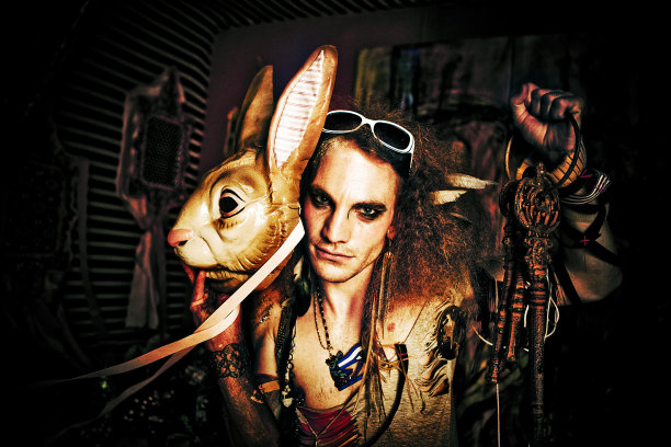 2011兔子