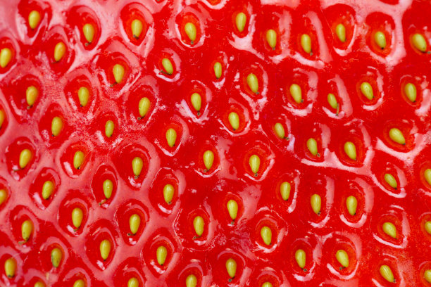 草莓微距
