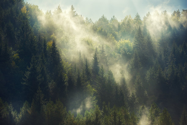 云雾缭绕的高山风景