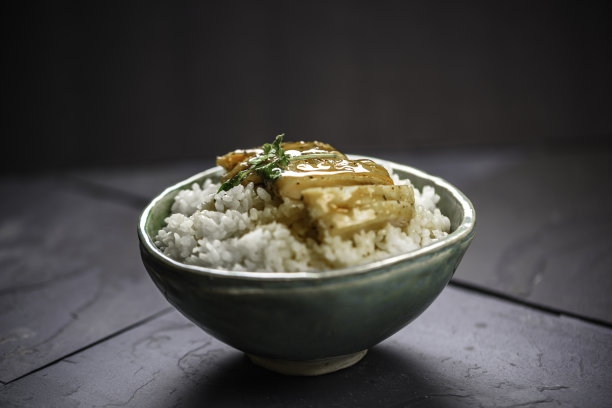 盖饭米饭