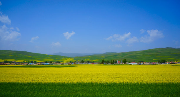 青海农村