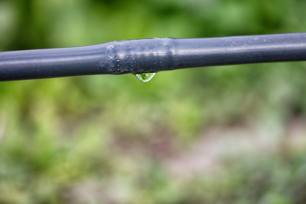 滴水灌溉