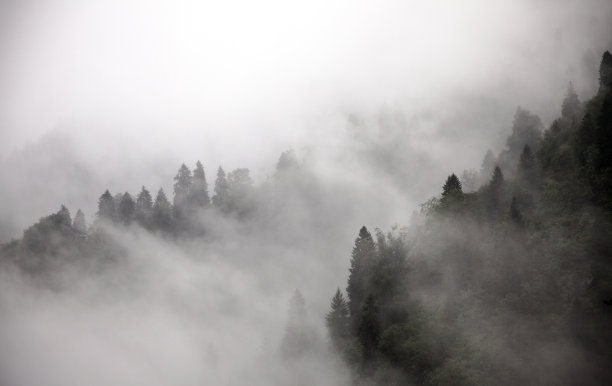 山脉,雾气