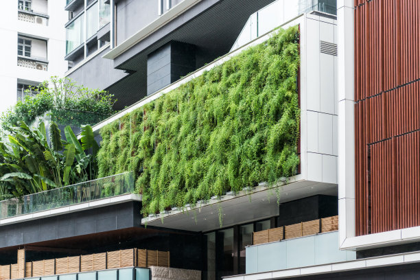 垂直绿化植物装饰设计