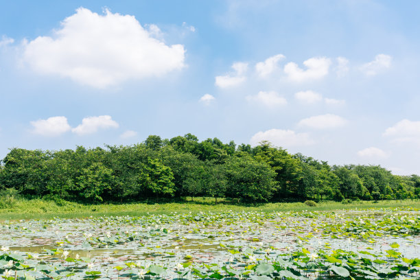 东莞地标建筑