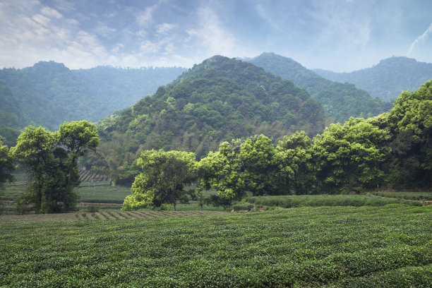 杭州旅游景点