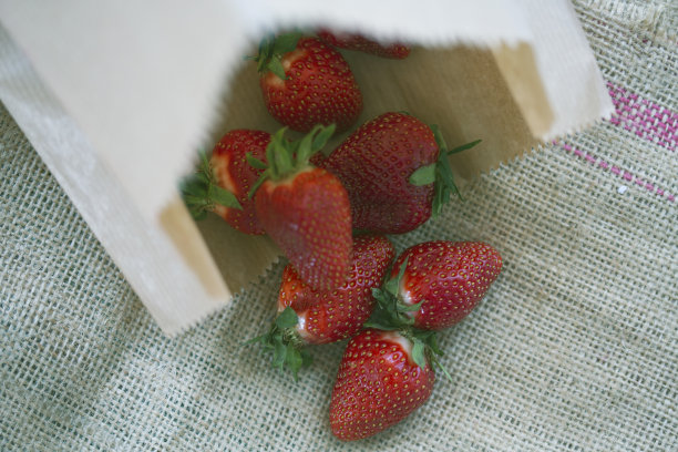 草莓袋子
