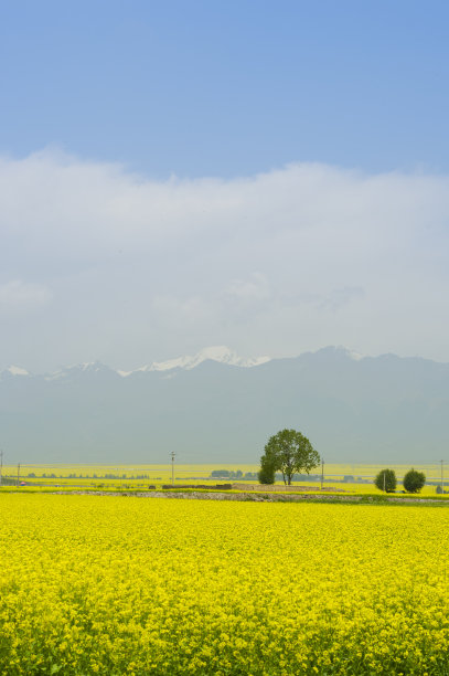 青海农村