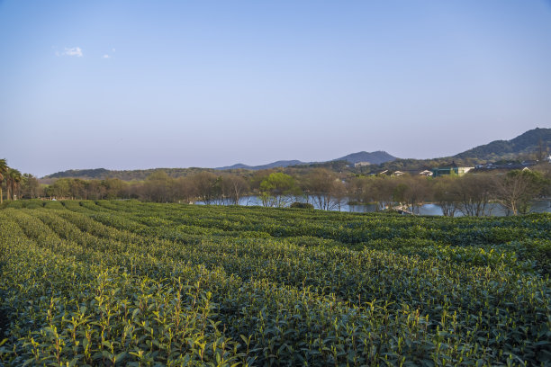 田园风光,地形,户外