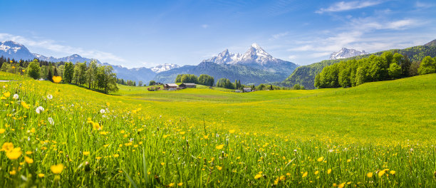 乡村风景