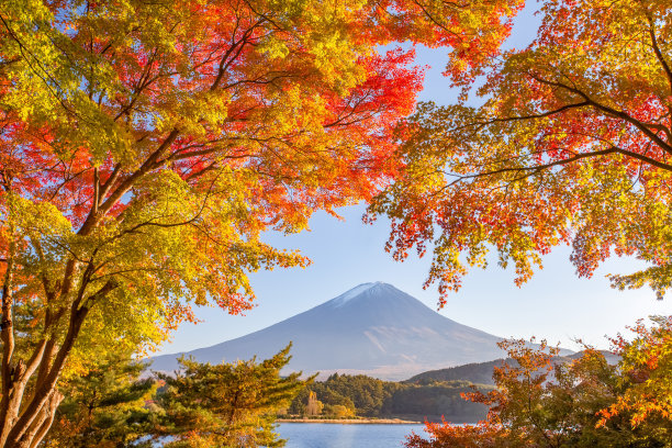 著名的富士山