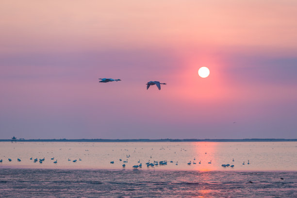 天鹅湖的早晨