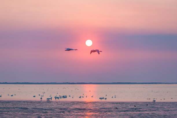 天鹅湖的早晨