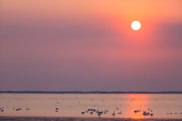 天鹅湖的早晨