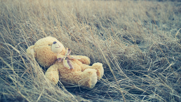 草地上的小熊玩偶