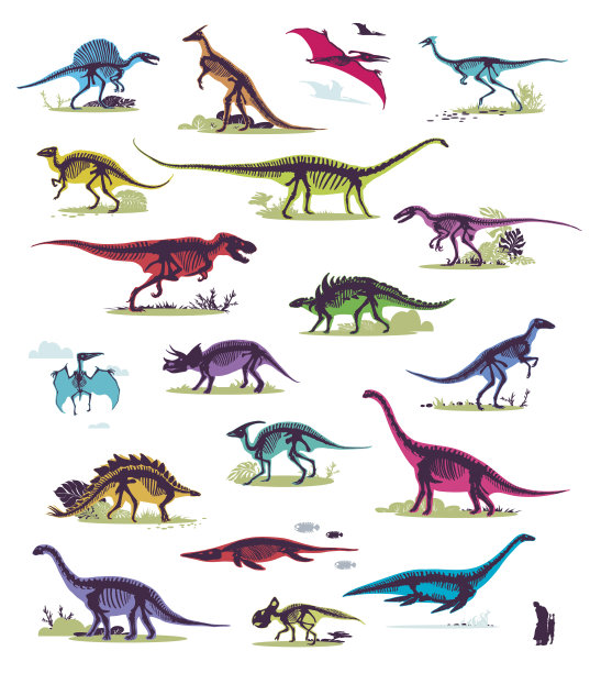 恐龙化石 恐龙图案