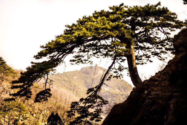 泰山群峰