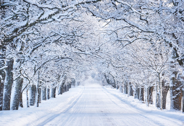 下雪的马路