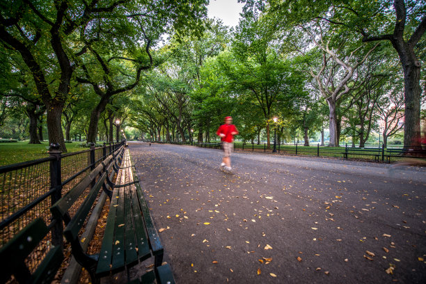 中央公园慢跑