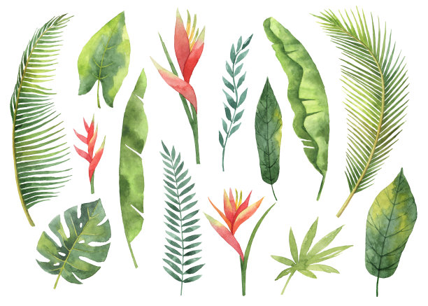 热带植物图案