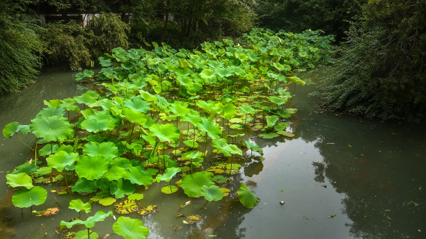 四川省博物馆