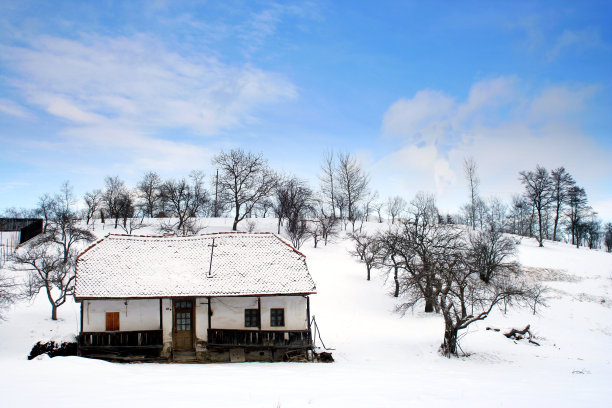 冬季蓝天白云芦苇地房屋