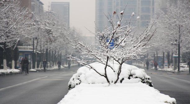 西湖下雪