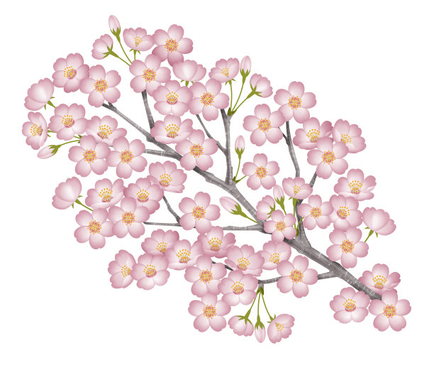 樱花节3d效果图