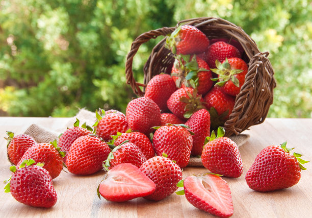 草莓草莓