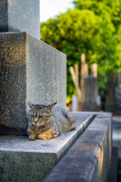 日本墓碑