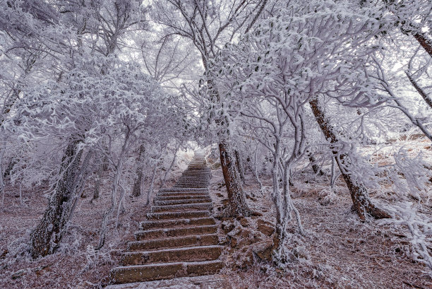 黄山摄影