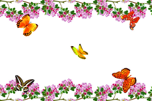 蝴蝶与杏花