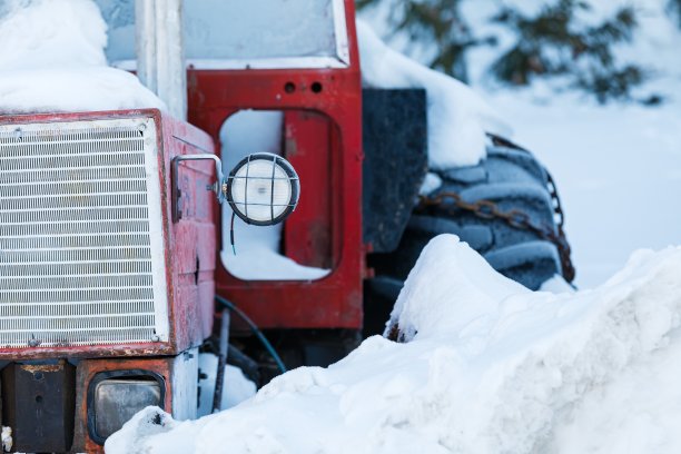 雪山一点红