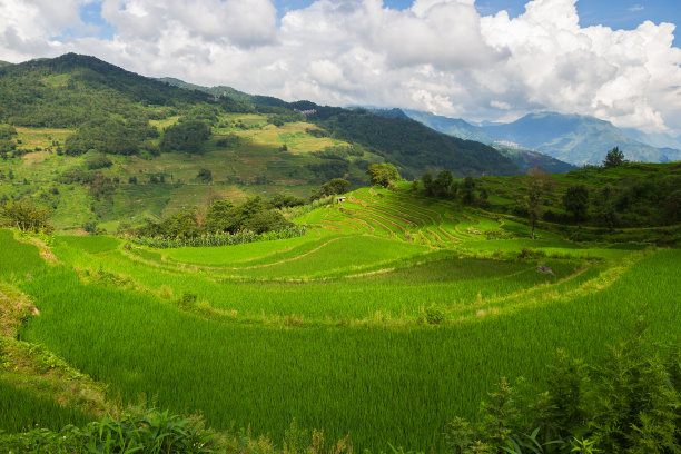 indonesia