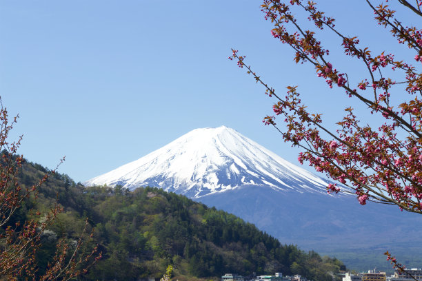 雪山和樱花风景