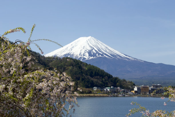 雪山和樱花风景