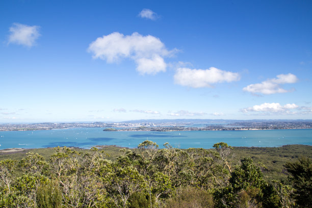 奥克兰小镇风景