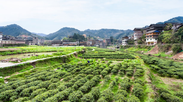 广西来宾标志性建筑