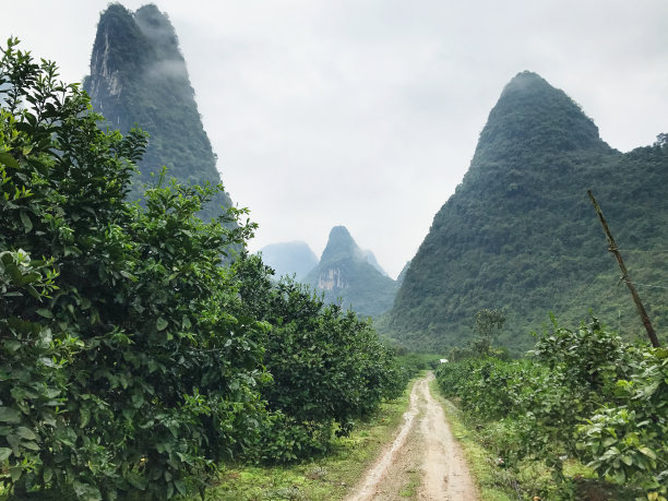 小路土路步道