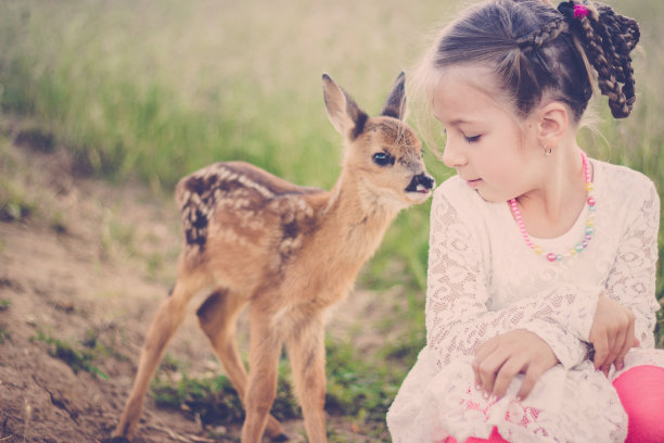 女孩与鹿